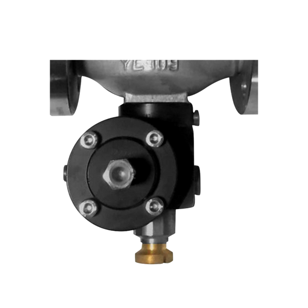 Safety valve for DIVAL 160AP Natural Gas regulator - PIETRO FIORENTINI
