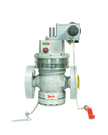 Industrial Natural Gas Valve