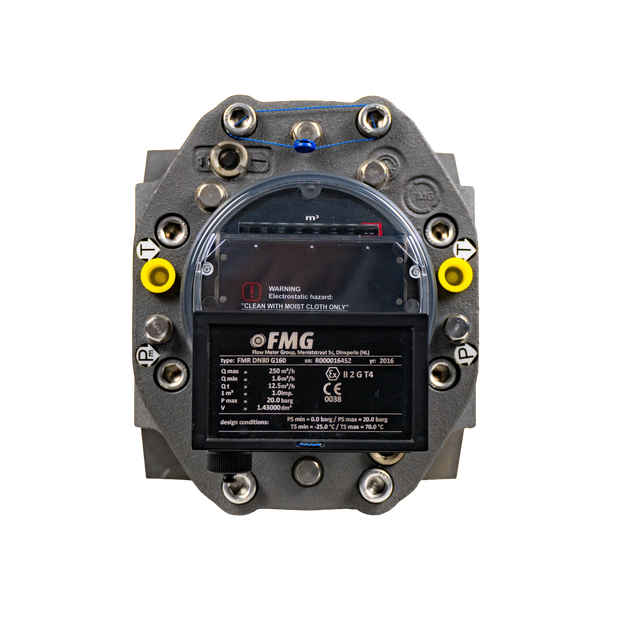 Rotary meter for Natural Gas - BonGAS - FMG