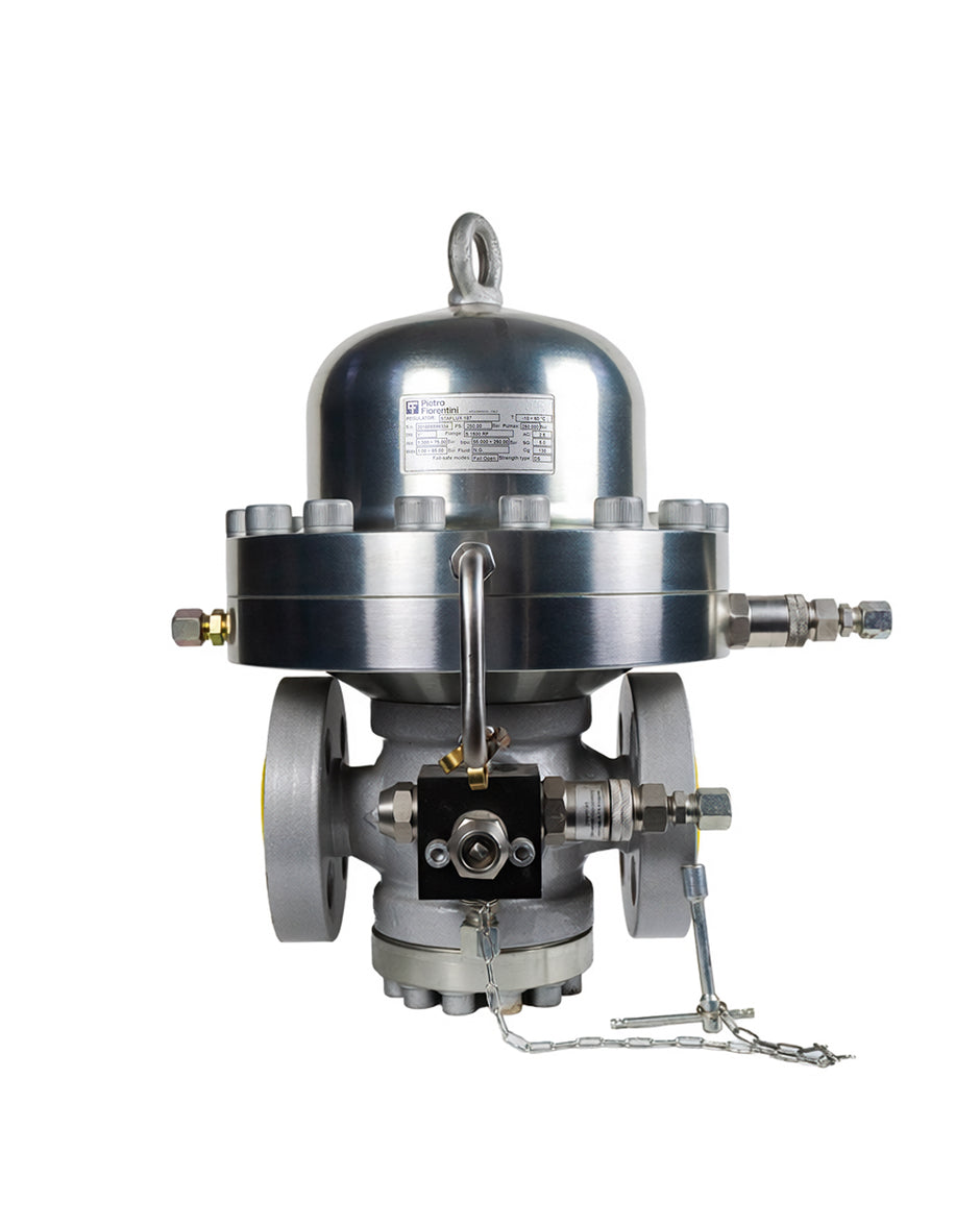 Industrial Natural Gas Regulator - BonGAS - PIETRO FIORENTINI