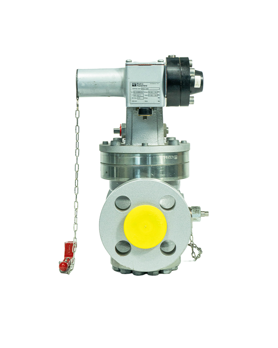 Industrial Natural Gas Valve