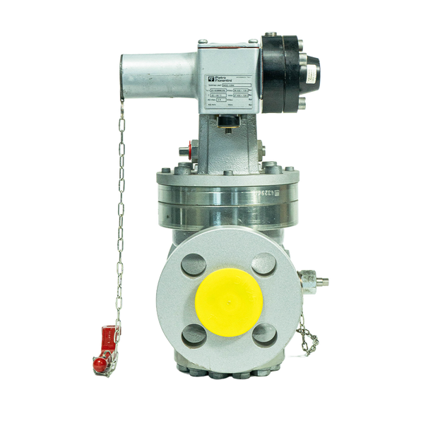 Industrial Natural Gas Valve