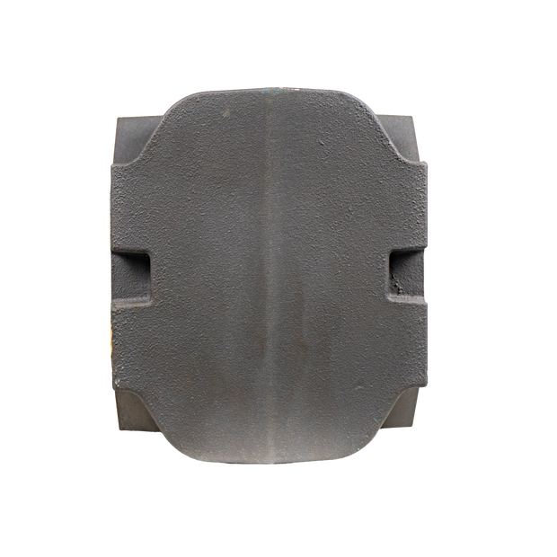 Rotary meter for Natural Gas - BonGAS - FMG