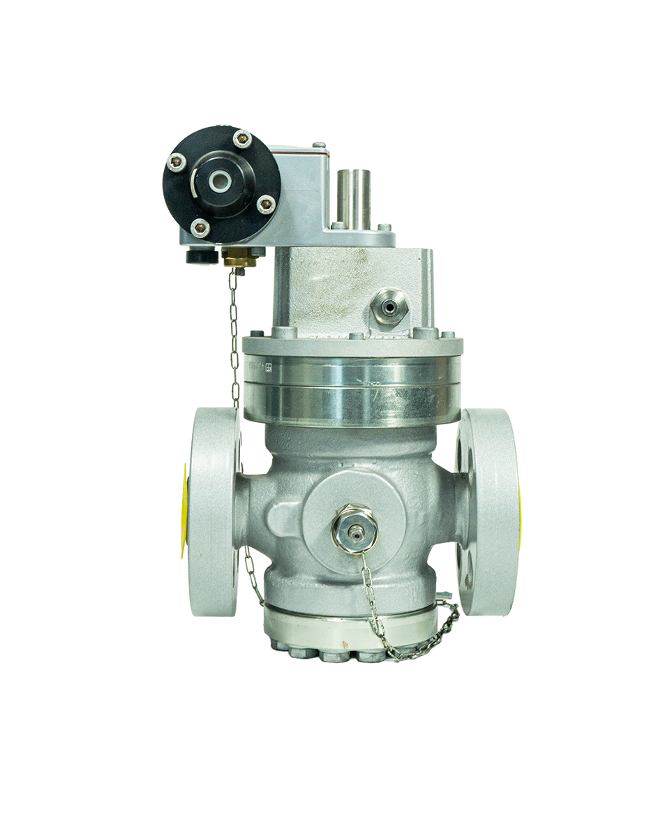 Industrial Natural Gas Valve
