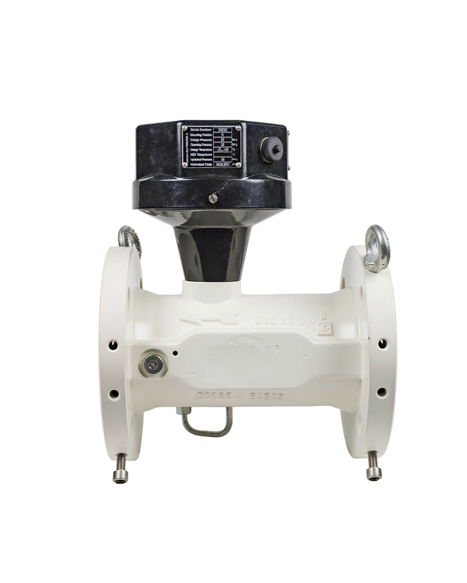 Turbine meter for Natural Gas G100 - BonGAS - ITRON
