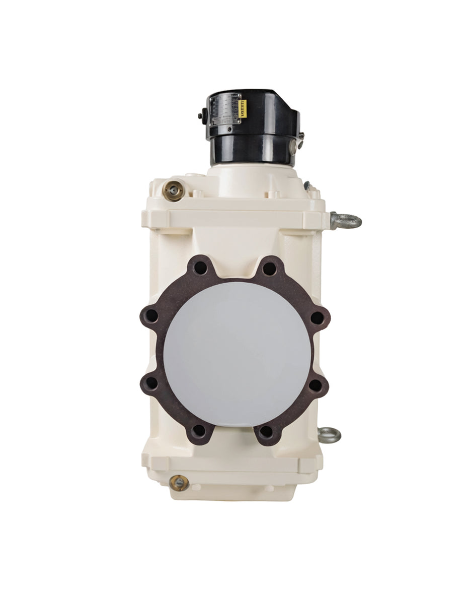 Rotary Gas Meter for Natural Gas - BonGAS