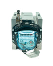 Rotary meter for Natural Gas - ITRON DELTA G160