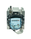 Medidor rotativo para Gas Natural- BonGAS- ITRON DELTA G160