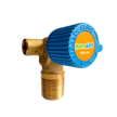 Cylinder valve for high-pressure gases 250 bar - BonGAS